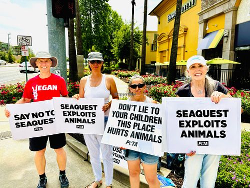  at Sacramento Vegan Society in Sacramento