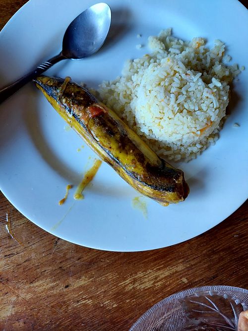 Curry part 2 at Natural in Ometepe