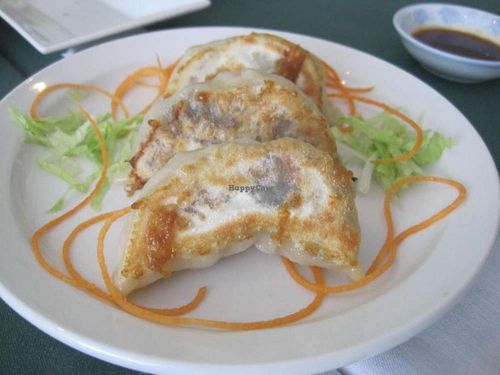 Pan-fried dumplings at Su Shian Yuang in Montreal