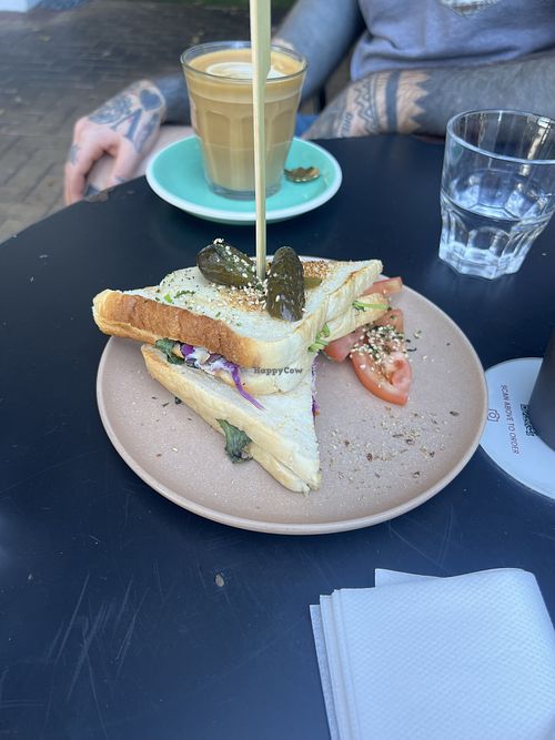   at Vega in Spring Hill