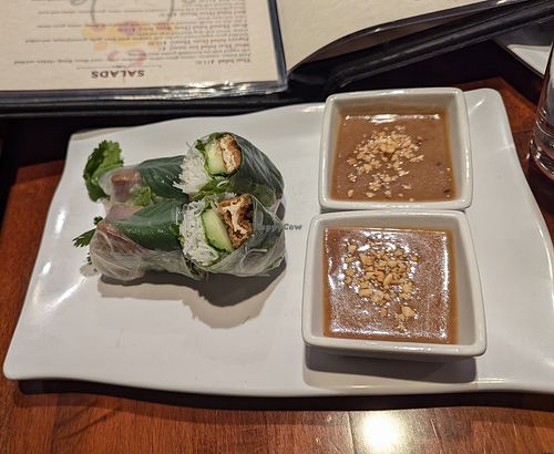 Vegan spring roll appetizer with extra sauce at Bangkok Cuisine in Reno