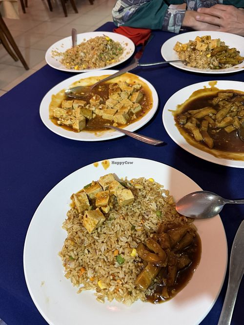 Vegetable fried rice, tofu dish, eggplant dish  at Peace in Arusha