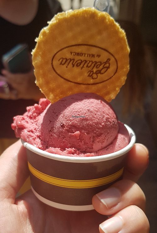 Blackberry gelato at Sa Gelateria in Mallorca