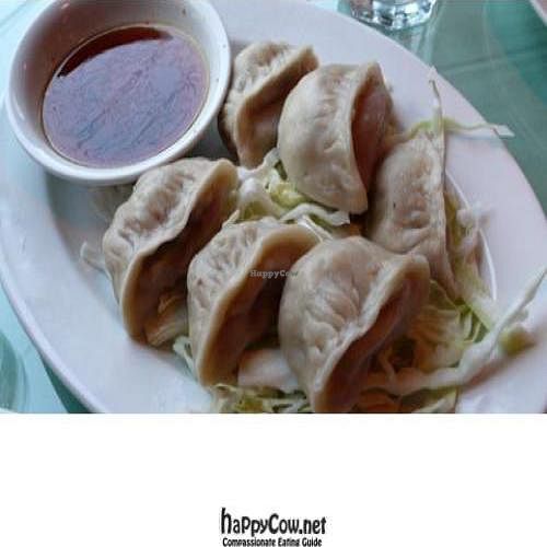 steamed dumplings at Teapot Vegetarian House in Seattle