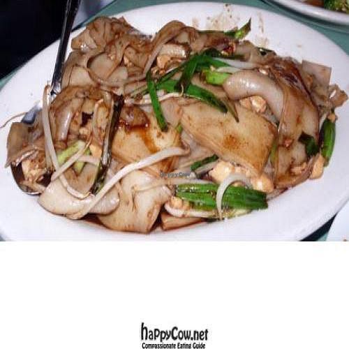 fried wide noodles in dark sauce: we use wide rice noodles, fresh bean sprouts, scallions and add a delicious dark rich syrupy sauce at Teapot Vegetarian House in Seattle