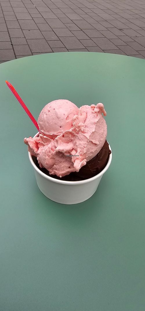 Aardbei en donkere chocolade at Eisbox in Offenburg