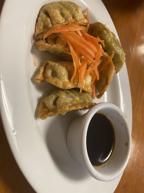 Vegetarian fried dumplings  at Pho Boston Vietnamese Cuisine in Northampton