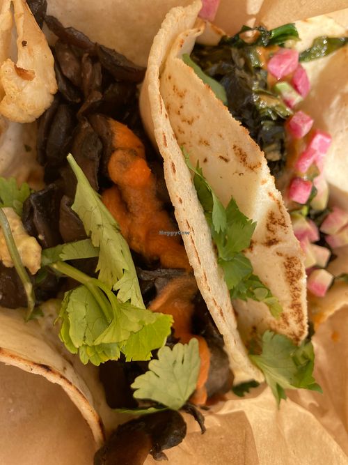 Braised mushroom tacos  at Chaia in Bethesda