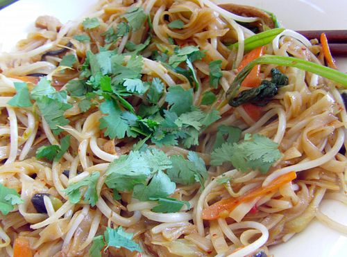 Awesome stir-fried rice noodles at Loving Hut Thien Dang in Seoul