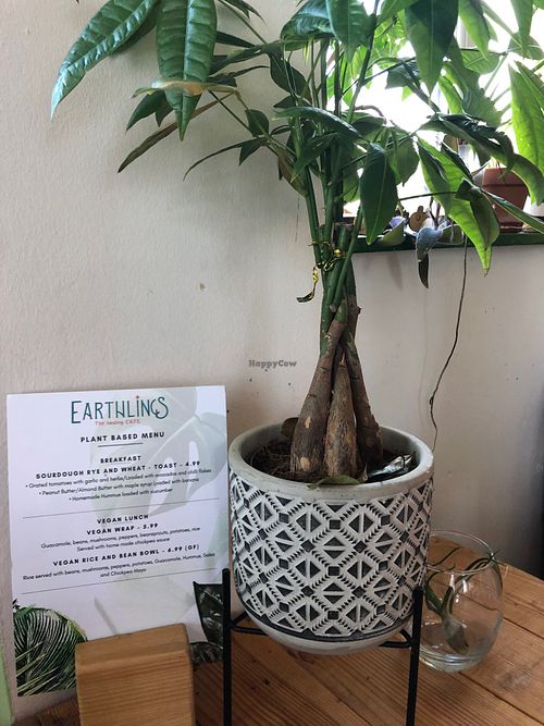  at Earthlings in Newcastle Upon Tyne