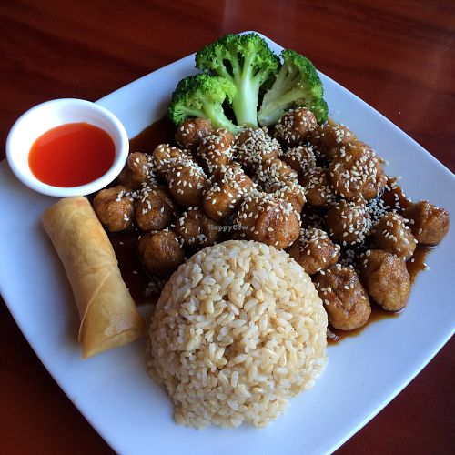 Sesame soy/gluten dish + spring roll at Spring Rolls in Raleigh