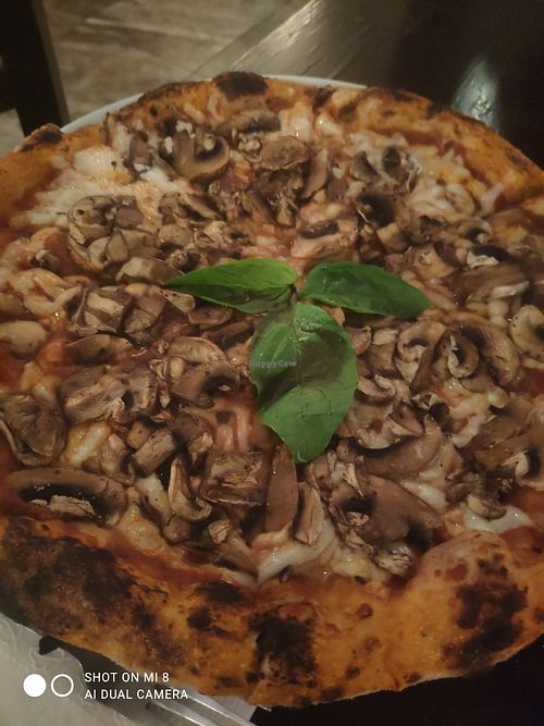 Vegan mushrooms pizza at Casa Sofia in Playa Del Carmen