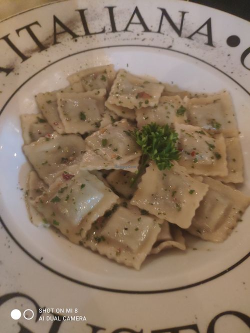  at Casa Sofia in Playa Del Carmen