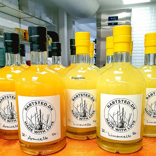RARTSTED produces homemade Limoncello based on organic lemons and Arancello based on organic oranges at Rartsted in Loekken