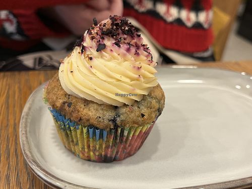 Blueberry muffin   at Dosa Dosa in Prague