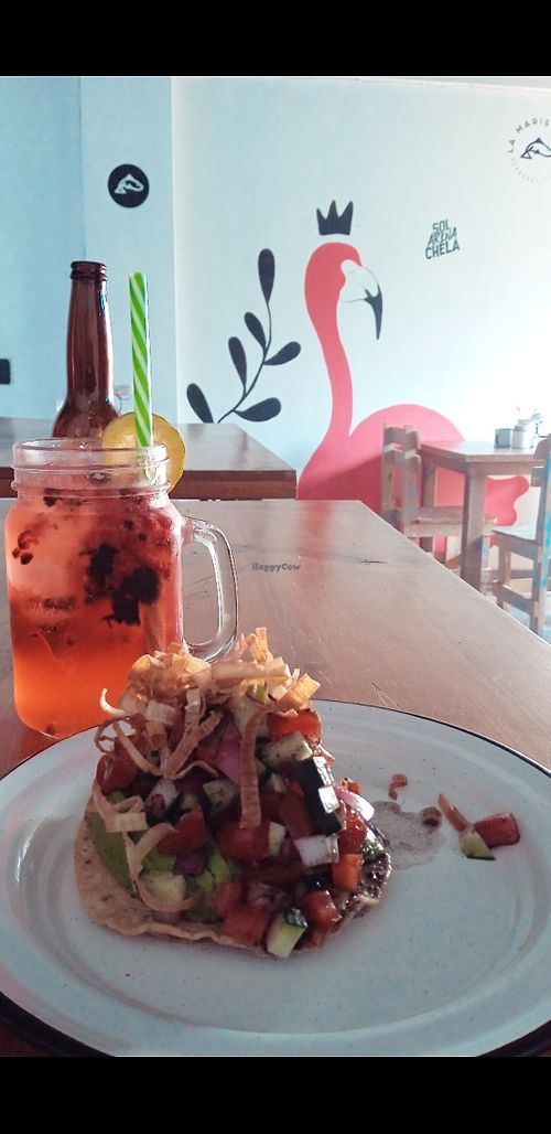 Vegan ceviche and gin y frutas rojas cocktail at La Marisquería in Zacatecas