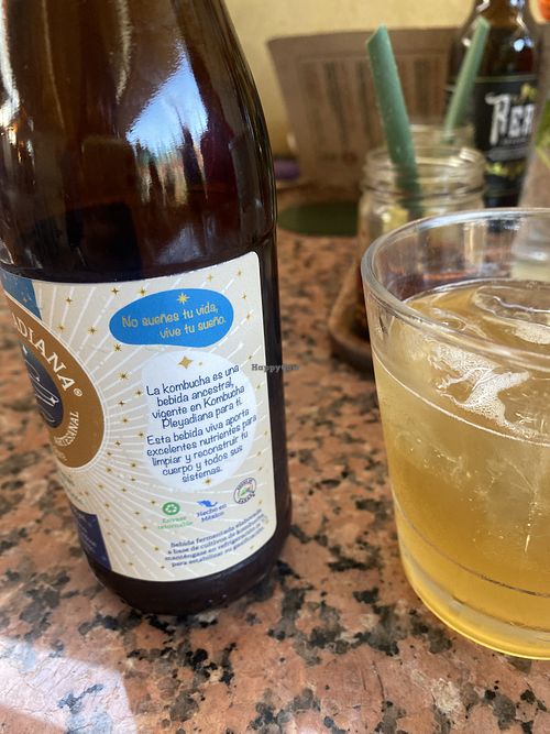 Kombucha de Ginger 🫚 Recommend!  at Santa Hierba in Oaxaca