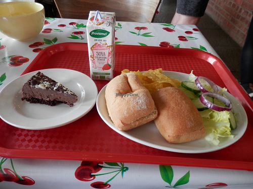 Gluten free rolls filled with soft vegan cheese and celery and served with a side salad; a slice of gluten free triple chocolate vegan cheesecake and a strawberry soya drink. at Hillside Shire Horse Sanctuary Cafe in West Runton
