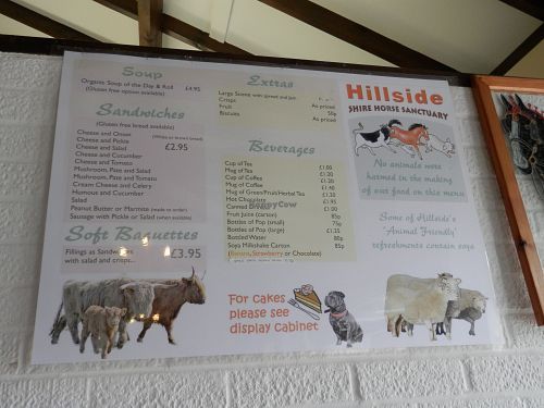 100% vegan menu at Hillside Shire Horse Sanctuary Cafe in West Runton