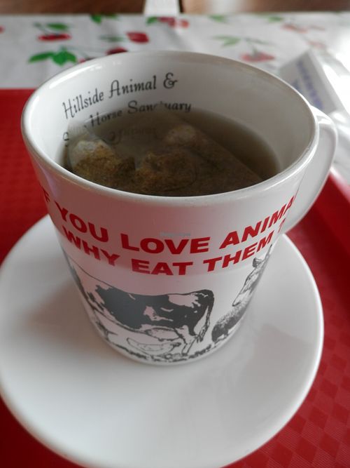 Camomile tea at Hillside Shire Horse Sanctuary Cafe in West Runton