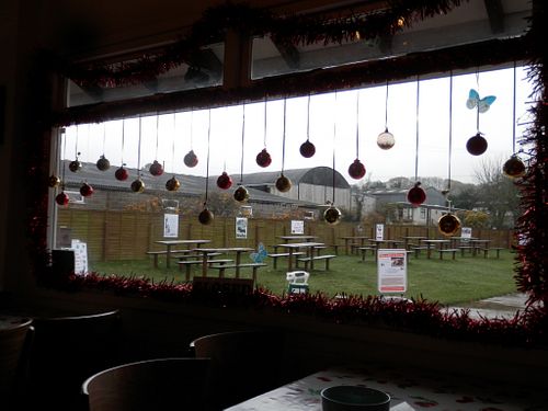 Cafe decorated for Christmas.  Also showing outdoor seating area. at Hillside Shire Horse Sanctuary Cafe in West Runton