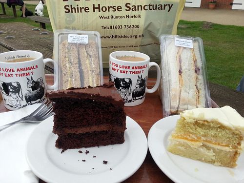 sandwiches and cakes at Hillside Shire Horse Sanctuary Cafe in West Runton