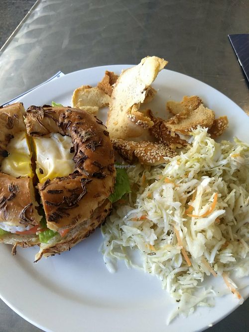 Sandwich and salad combo at Bagels on Greene in Montreal