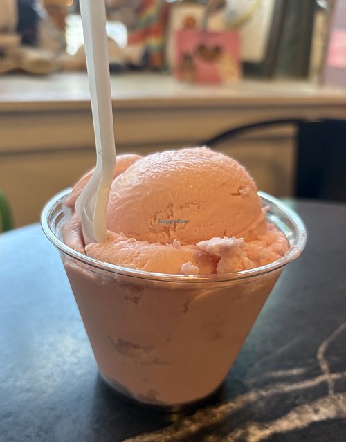 vegan mint bubblegum!  at Sparky's Homemade Ice Cream in Columbia