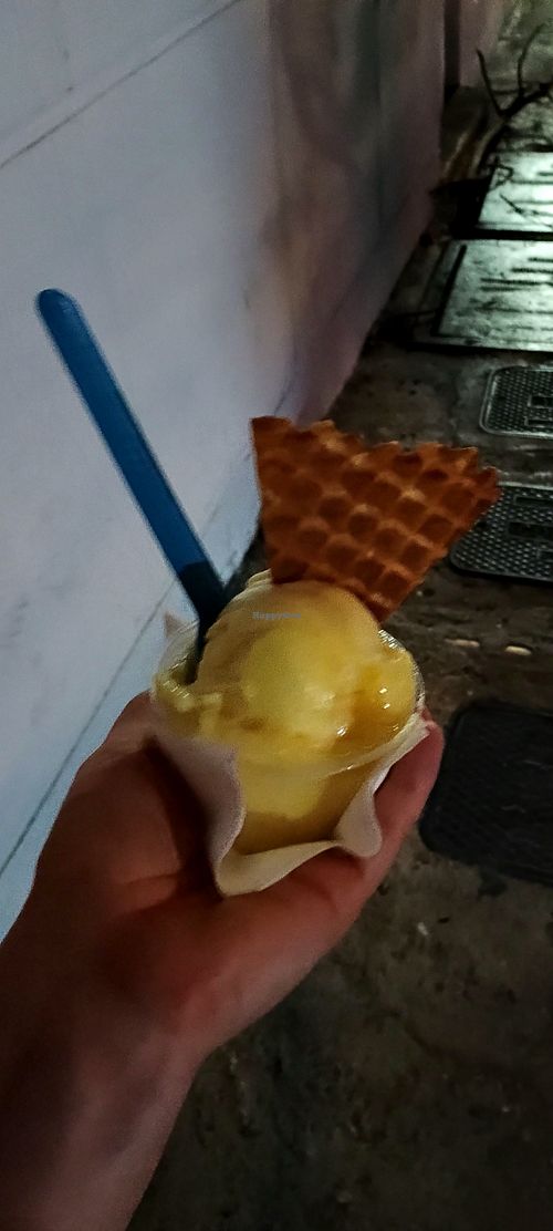 Pineapple sorbet at La Heladería Funkyberry Ice Cream in San Juan