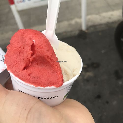 Strawberry and banana  at Stefano Ferrara Gelato Lab in Rome