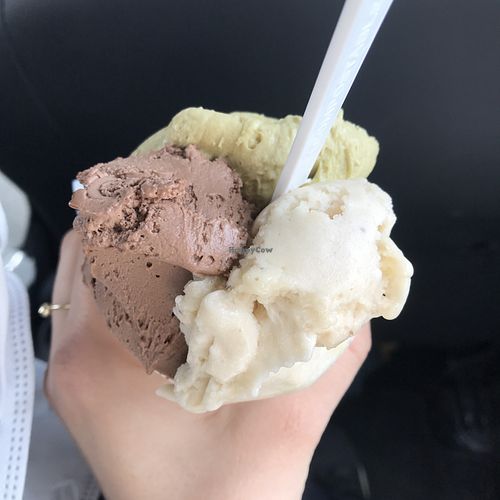 Vegan Gianduia , Vegan Pistacchio and Banana  at Stefano Ferrara Gelato Lab in Rome