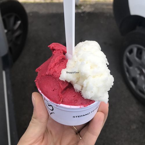 Raspberry and Lemon   at Stefano Ferrara Gelato Lab in Rome