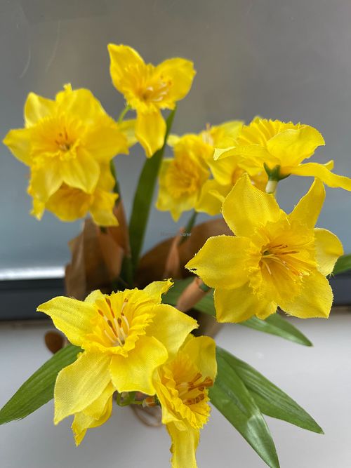  at James & Jo Cafe in Abingdon