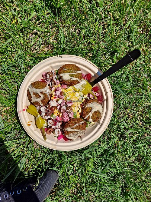 Chickpea Kitchen Sterling Heights Michigan Restaurant HappyCow