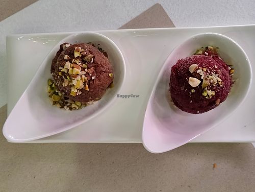 chocolate Banana Ice Cream and Wildberries Sorbet at Awe in Northeast Singapore