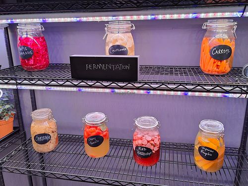 fermentation displays at Awe in Northeast Singapore