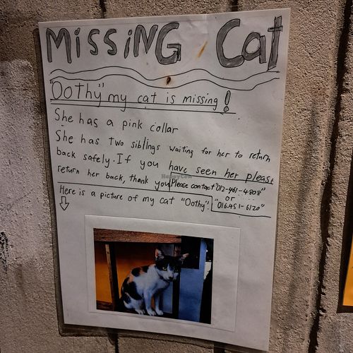  at SUSU Vegan Mylk Bar Penang in Penang