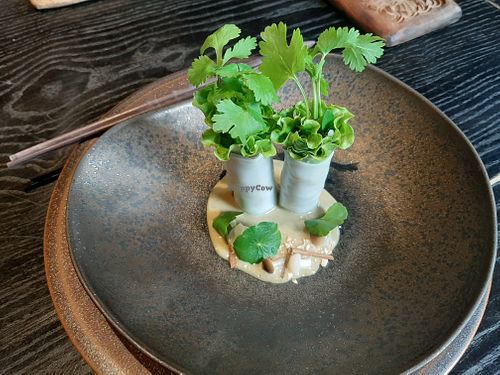 Pho Rolls at Cổ Đàm Chay in Hanoi