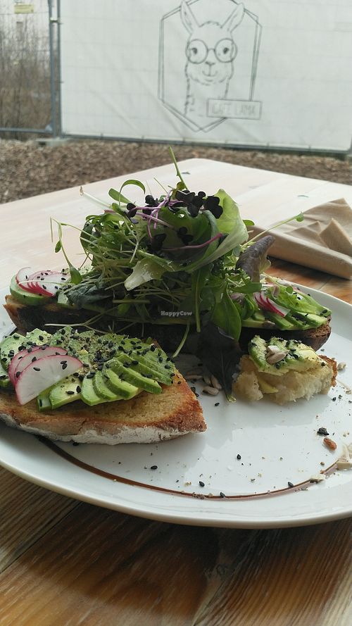 Bread Frida (couldn't wait to take the picture before eating) 
Outside in winter still possible  at Café Lama in Tubingen