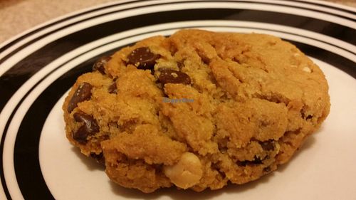 Peanut Butter Chocolate Chip Cookie at Wildflour Bakery and Cafe in West Seattle
