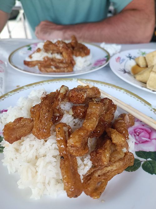 garlic vegan chicken with rice at Tukta in Koh Tao