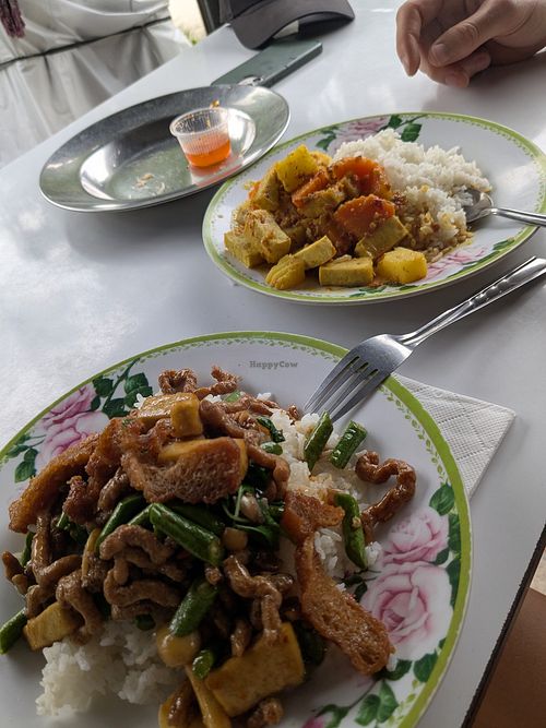 Massaman curry and stir fry with basil at Tukta in Koh Tao