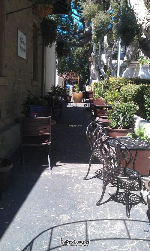 Relaxing outside patio.   at Adama in Santa Barbara