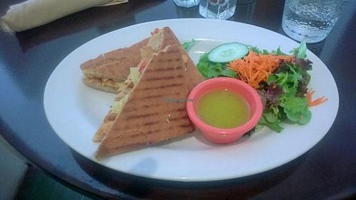Chipotle Panini & salad with Lemon Vinaigrette dressing at Adama in Santa Barbara