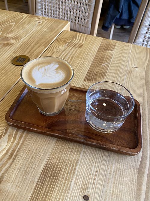 oat latte  at Gecko Coffeehouse in East London