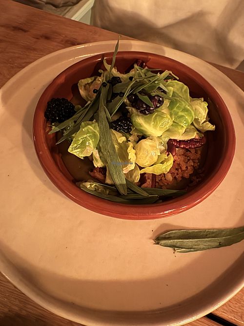 Rosenkohlflan mit Brombeer-Kaviar   at Hafenküche in Flensburg