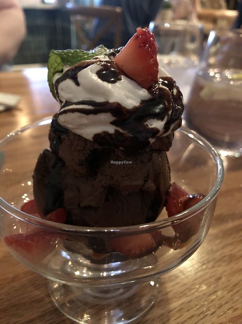 Chocolate mouse with berries  at Graze Kitchen  in Las Vegas
