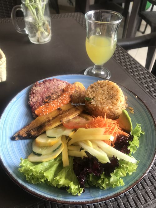   at El Opuesto de Salento in Salento