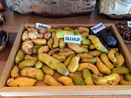 Local tubers on display in the restaurant at Explora Valle Sagrado in Urquillos