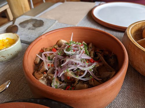 Vegan mushroom ceviche at Explora Valle Sagrado in Urquillos
